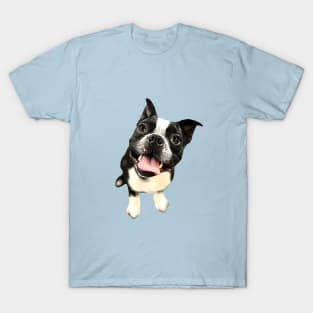 Boston Terrier Cute Dog T-Shirt